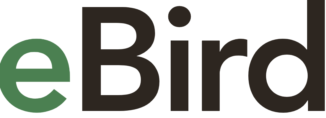 eBird